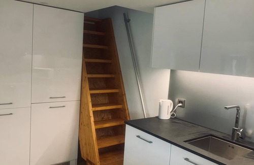 Schwanden bei Brienz Apartment | Vintage Apartment Forest