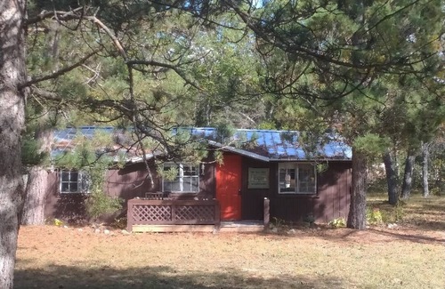 Hillman Cabin | Vintage Pet-Friendly Family Cabin and Bunkhouse in the Atlanta State Forest