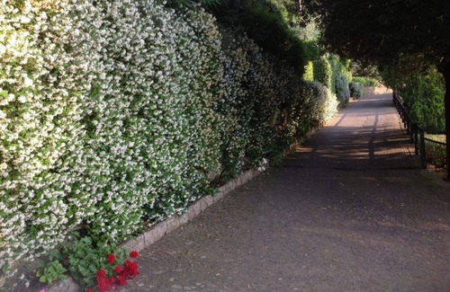 Camogli Villa | "Vip Camogli" Rustic