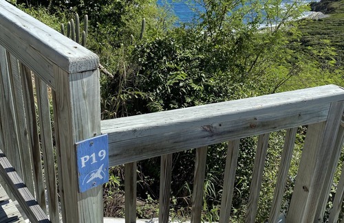 Johnson Bay Resort | Virgin Island’s National Park Loding at Concordia Eco Resort