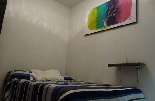 Lafayette House | Vitta hostel jalisco downtown area