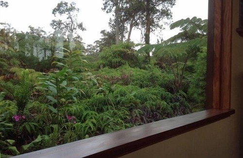 Volcano Cottage | Volcano Mountain Haven - Minutes from the Hawaii Volcanoes National Park