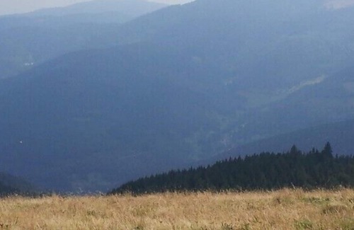 Lautenbach Apartment | Vosges Balloons and wine route