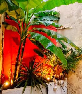 North district Apartment | Votre Escale Jungle Sauna & Spa