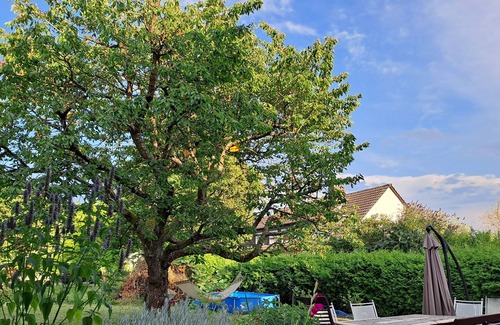 Grafschaft Apartment | Vrbo Property