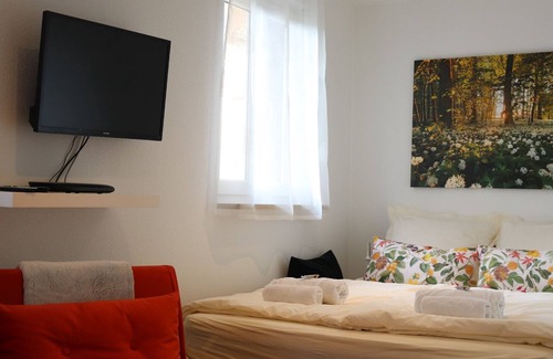 Loerrach Apartment | Vrbo Property