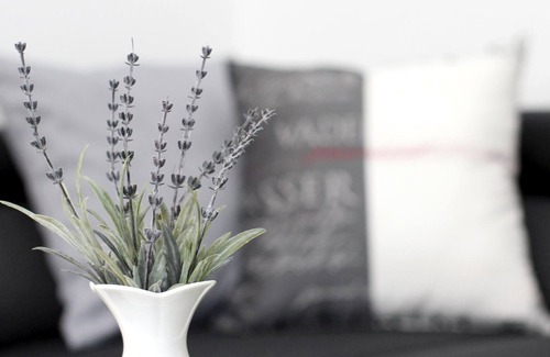 Sundern Apartment | Vrbo Property