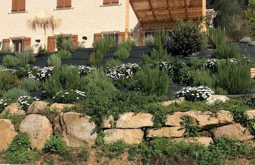 Arbori House | Vrbo Property
