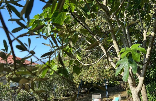 Sartene Apartment | Vrbo Property