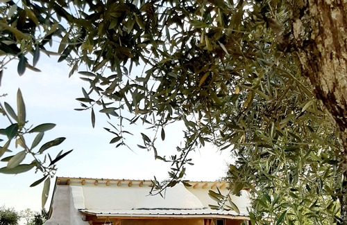 Penamacor Bed & Breakfast | Vrbo Property