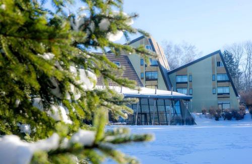 Saint-Sauves-d'Auvergne Resort | VTF Le Domaine des Puys