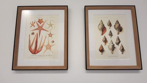 Dinard Apartment | Vue pleine mer à la Perle Marine - La Terrasse