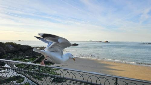 Dinard Apartment | Vue pleine mer à la Perle Marine - La Terrasse