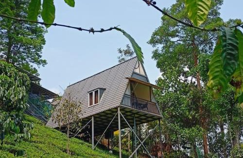 Vythiri House | Vythiri Stream View