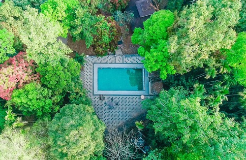 Kunnathidavaka Hotel | Vythiri Wild Forest Resort