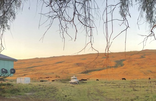 Kamuela Cottage | Waimea/Kawaihae dry side with breathtaking ocean view and sunset. n