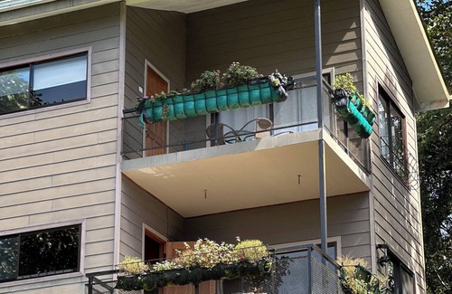 Monteverde Apartment | Wake Up with the Birds in Monteverde – Balcony, Views & Great Location