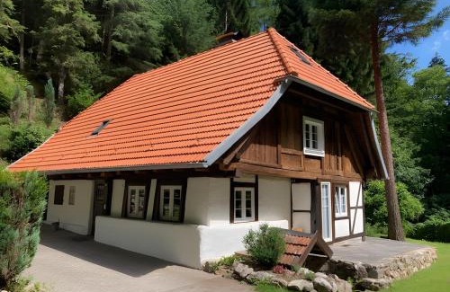 Hornberg House | Waldbauernhof