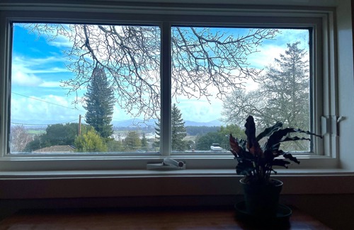 Sebastopol House | Walk to Downtown Sebastopol Luxe Vacation Living