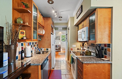 St. Petersburg Condo | Walk to Everything Downtown! EAT-SHOP-PLAY!
