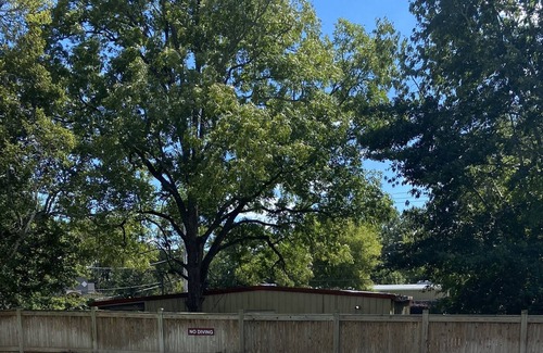 Starkville Condo | Walk to MSU