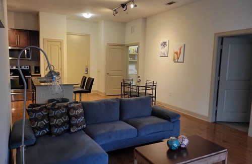 Astrodome Apartment | Walk to NRG | Drive to Med Center, 2 bed/2bath w/Courtyard View - King Beds