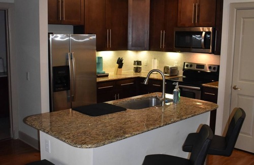 Astrodome Apartment | Walk to NRG | Drive to Med Center, 2 bed/2bath w/Courtyard View - King Beds