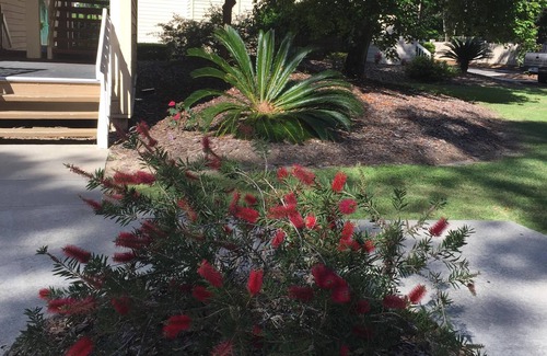 Palmetto Dunes Condo | WALK TO THE BEACH! First floor condo, fully renovated