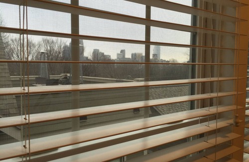 Biddleville House | Walk to Uptown-Charming Renovated Cottage in Great Location Overlooking the Skyline!