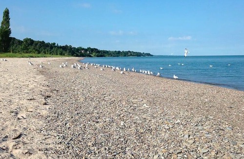 Ashtabula House | Walnut Beach Inn