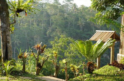 Sebatu Bed & Breakfast | Wana Ayu Jelijih Villas
