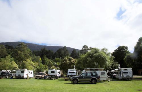 Warburton Other | Warburton Holiday Park