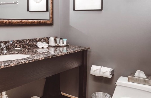 Zion Hotel | Warm Boutique Vibes with Firepits l Near Shiloh House & Lake Michigan