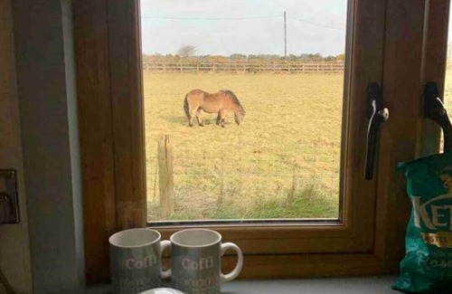 Goodwick Cabin | Warm, cosy Shepherds Hut near coastal path!