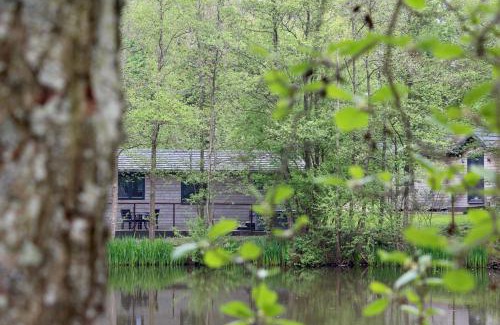 Pevensey Resort | Warren Wood Country Park