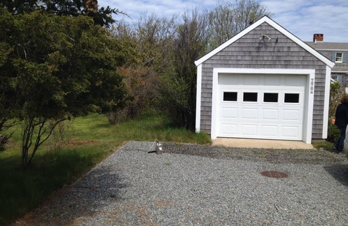 Madaket House | Water view - huge lawn area for croquet. Shoulder season 2025 open!