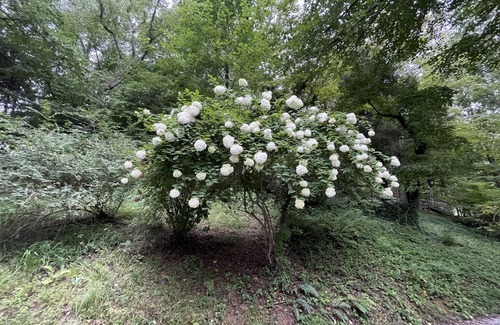 Franklin Cottage | Waterfront Cottage on Pond -Fishing- Game Room 4 miles to downtown Franklin, NC