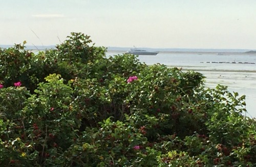 Provincetown Cottage | Waterfront Delft Haven Historic West End Cottage with Parking. Finest Location.