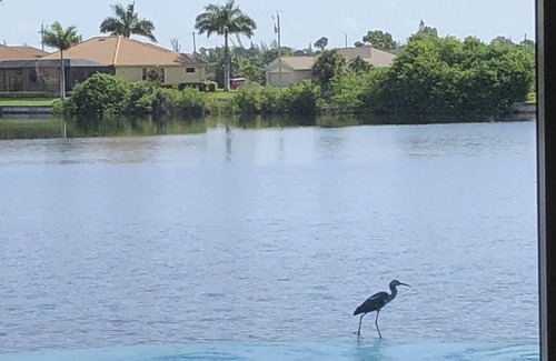 Burnt Store House | Waterfront Luxury, Panoramic Views, Privacy & Direct Gulf Access