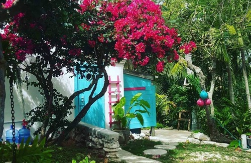 Gregory Town Cottage | WATERFRONT W/POOL, STARFISH