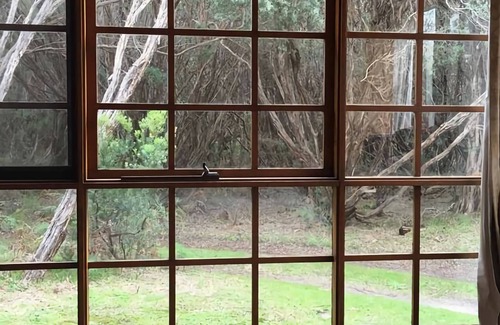 Venus Bay House | Waters Unique property in Venus Bay set in rural conservation coastal woodland