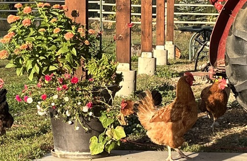 British Columbia Interior House | Waterside Poultry Ranch Barn Loft
