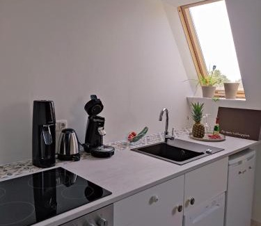 Karolinenkoog Apartment | Watt