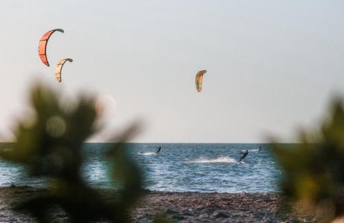 Manaure Hotel | Watu Kite House