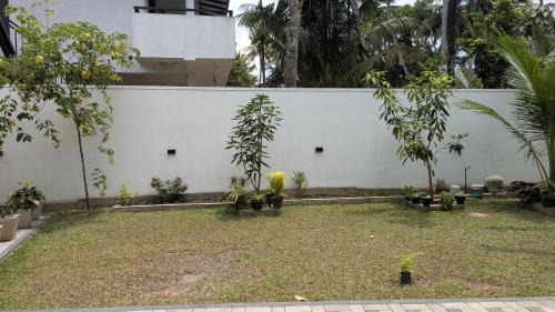Polhena House | Waveo Homestay Polhena