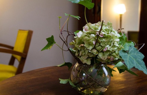 Wazemmes House | Wazemoff