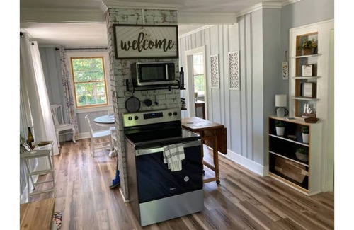Walhalla House | We have power and Wi-Fi! Walk to Downtown! Huge Yard! Record Player!
