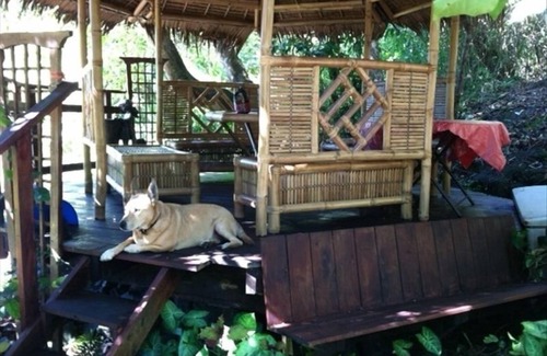 Captain Cook Cabin | 'We Loved This Romantic Getaway for Two !' - Testimonial.