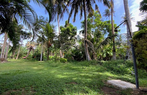 Ahangama Apartment | Wee amazonia en la Selva Tropical y Playa!