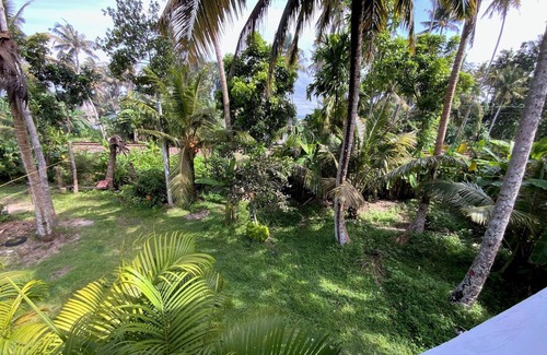 Ahangama Apartment | Wee amazonia en la Selva Tropical y Playa!